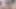 Seksi kızlar büyük bir yarağı paylaşıyor