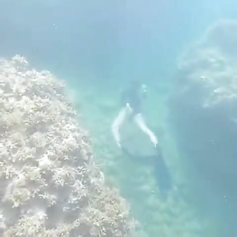 Ima Mermaid