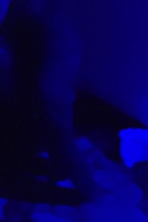 Behan Ko Ghodi Banakar Kar Choda Gandi Gali Sex Video