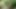 Empera porn video – Dick loving petite teen banged hard inside the woods in POV