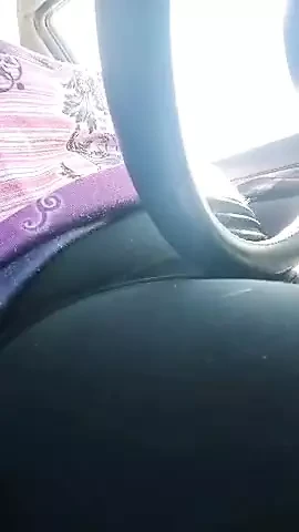 Car and toy fun