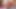Lesbian ini saling muasin memek satu sama lain pakai dildo dua dildo, lesbian scissor, dan saling muncrat