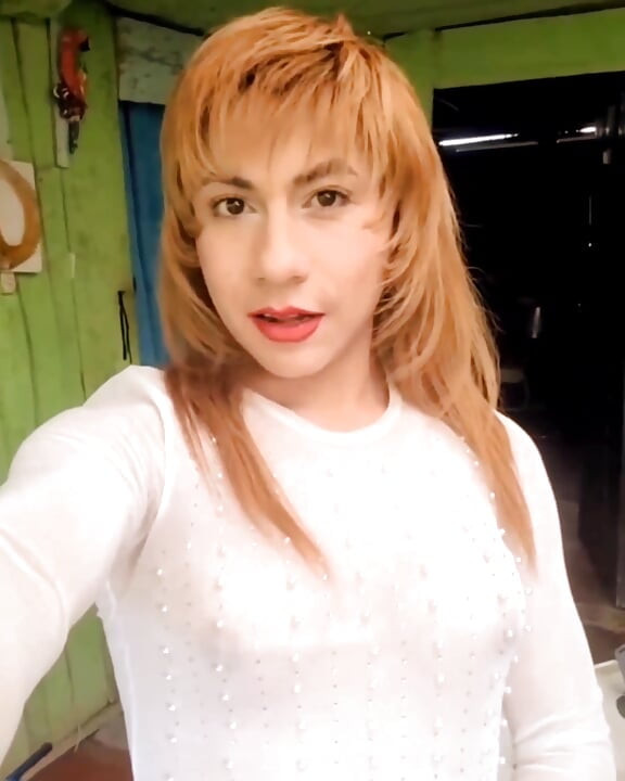 Живий виступ 11 листопада