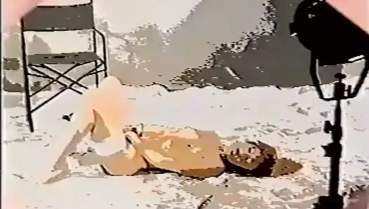 Duyurulan bir kariyerin günlükleri (1990)
