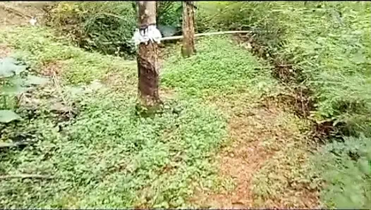 Hintli evli kadın açık havada sikişiyor
