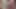 Riley my girlfriend's submissive and lesbian friend sucks my dick, until her face is wet, submissive bitch, fetish doll, cute doll, pov