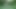 geil in den Wald gepisst