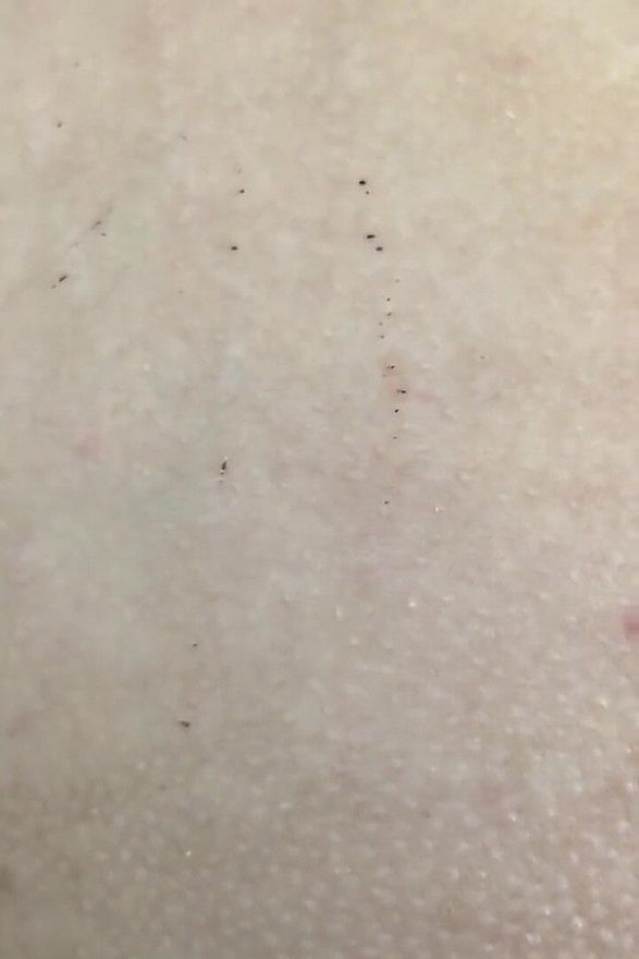 Besetzung Von Natalia