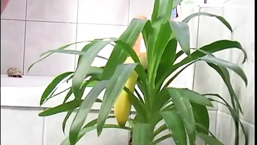 My Stepmom and Me... - Vol. 03