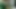Moja djevojka mi šalje video na kojem se krmarim i pokazujem mi svoju pičku i sise.