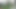 I Recorded My Stepsister Sunbathing Naked and Masturbating in the Garden