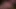 Fetishnetwork – esmi lee – gefesselte devote schlampe