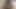 Sexy Shemale Selfie XXX Slut Jerking