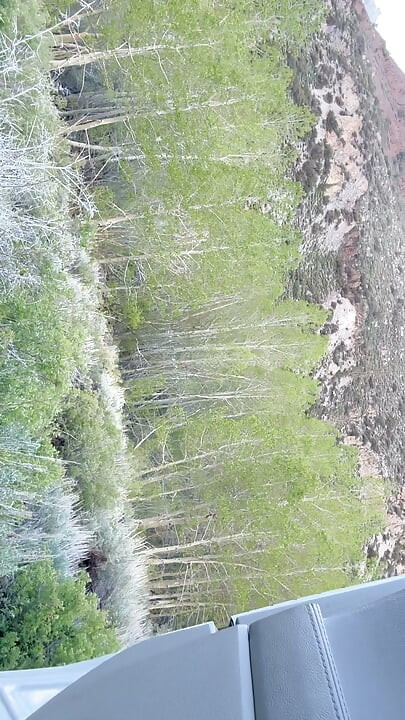 Stroking in nature