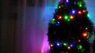 Моя рождественская елка