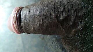 Opening Indian hairy cock pink head