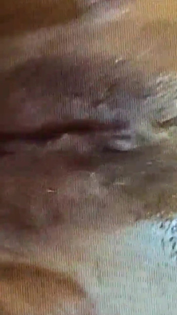 Ohromující okamžik z "WELLCUM INSIDE ME S ADAMANDEVE A LUPO - 4K FILM"