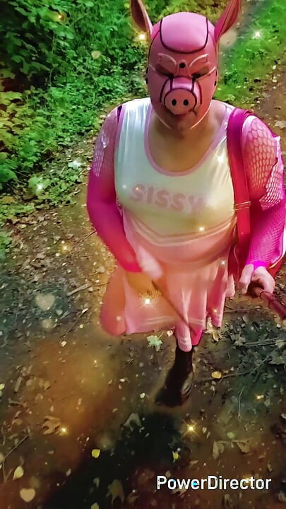 Debela sissy svinja