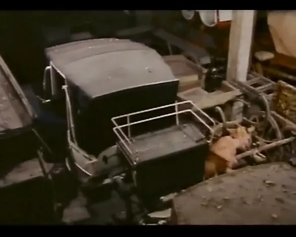 My Wife, A Body to Love (1973)