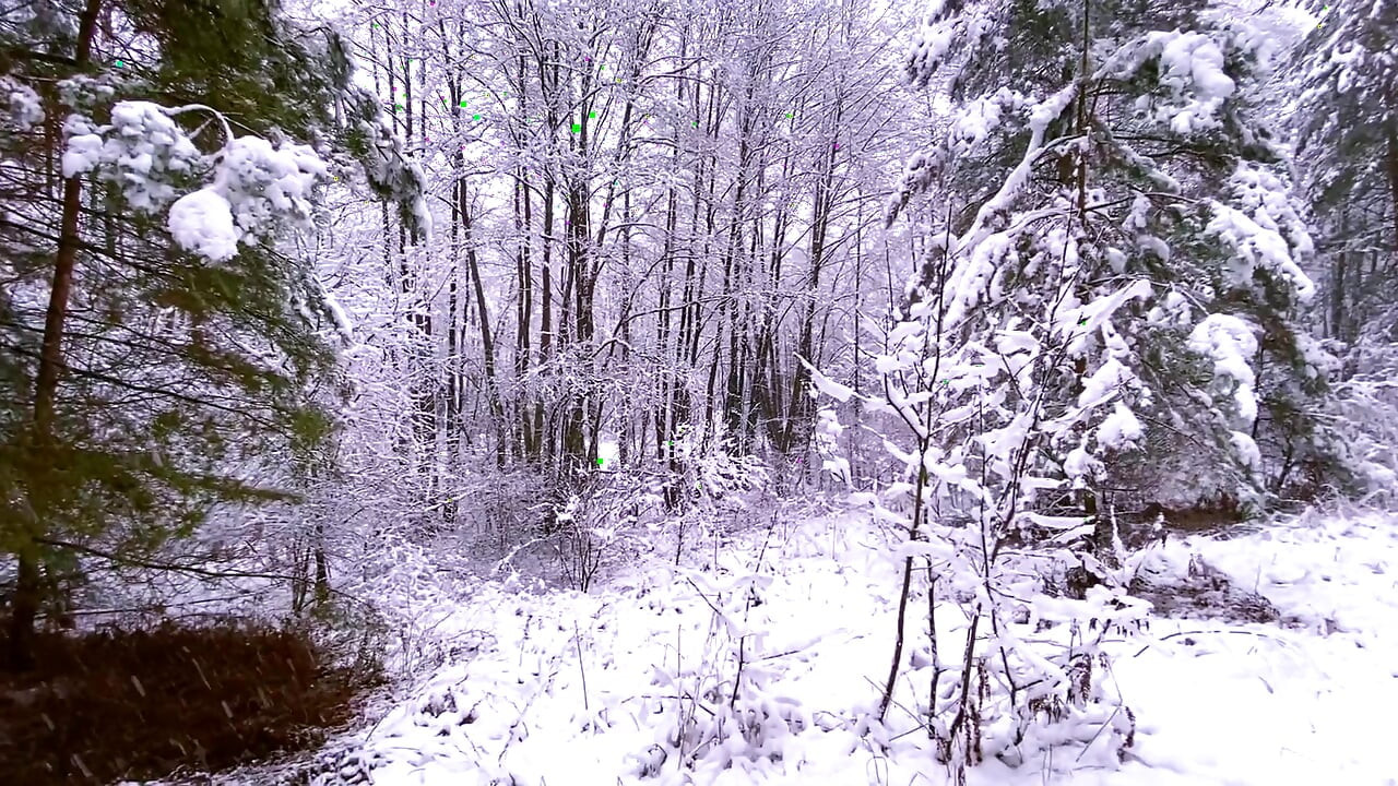 Am fost văzut în pădure în timp ce sug o pulă, a trebuit să ejaculez acasă
