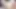 Noelle Silva Cum With You and Get Fucked Hard in Every Position - Massive Creampies & Cumshots, One Piece Hentai NSFW