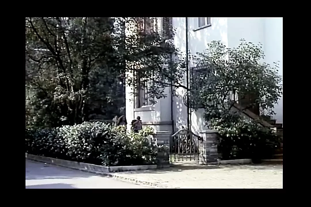 Hod Bodies (1983)