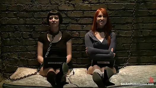Calico und Cherry Torns Live-Feed