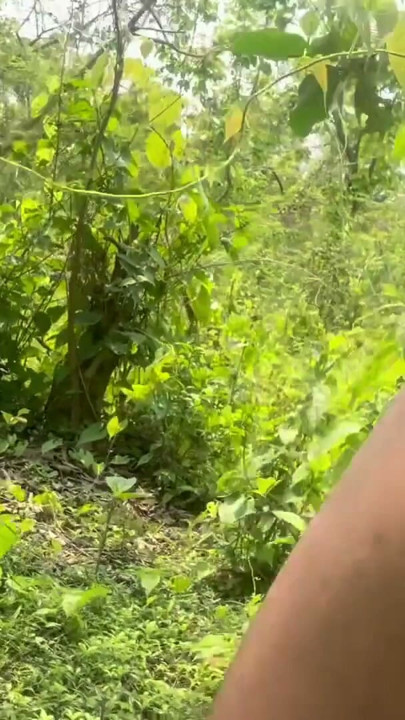 Getting nude in jungle Indian young boy | Clip 1