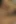 Shemale Luane Vilhena teased and fucked