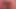 Kitten and Pinky are bbw fucking a big black cock