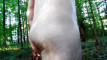 Pregled videozapisa