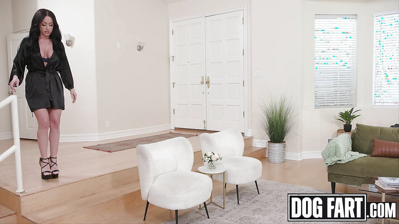 Dogfart - bare stnon vali chodne layak mammi jennifer white ko pati ke kaisino ghotale ke bad repo logon dvara dohra prvesh milta hai
