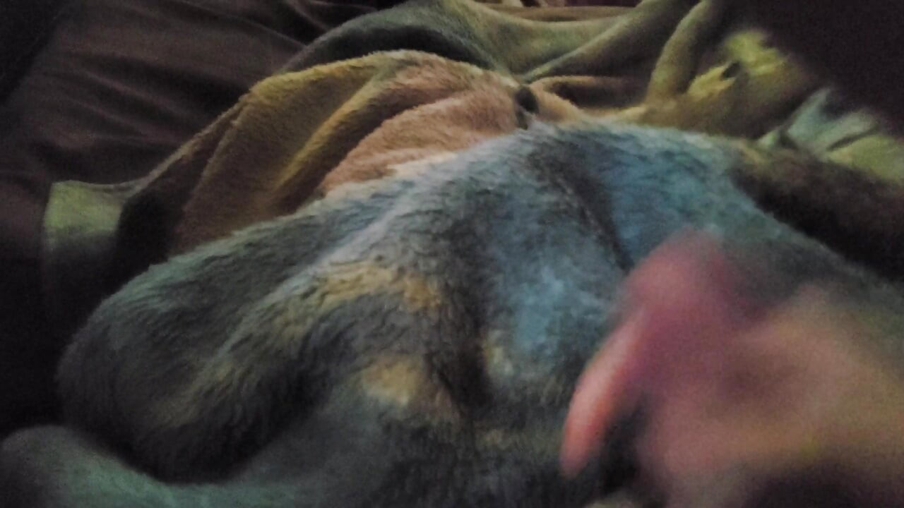 Kush cums with a lot more cum now