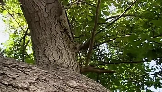 Schwanzlutschendes schätzchen fickt gerne im wald und bringt ihn zum kommen