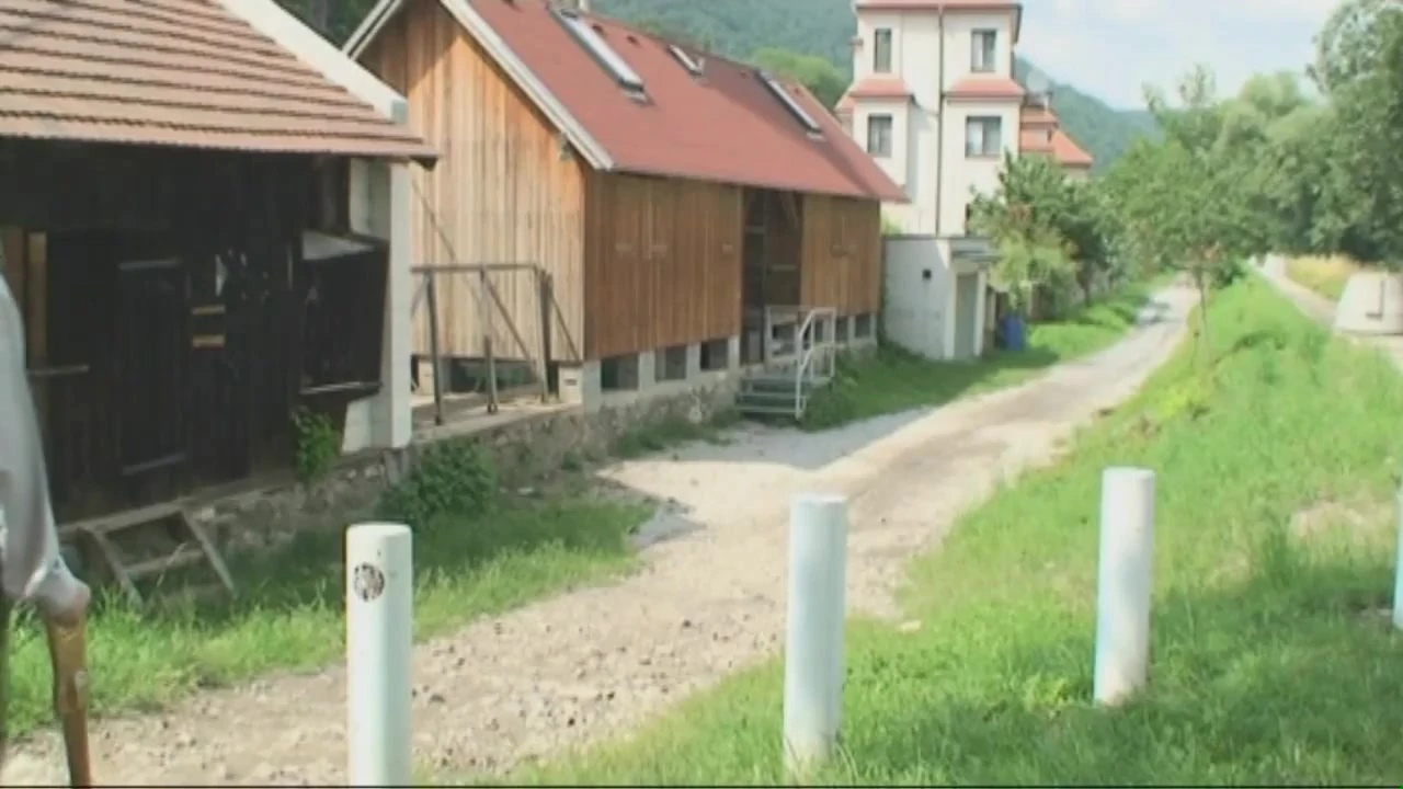 Family Nasty Report - Story #09