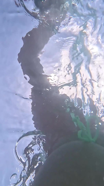 Rubia Traviesa Hace Pis En El Océano Al Aire Libre Y Nada Bajo El Agua