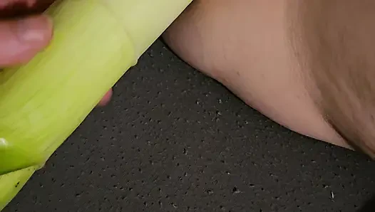 Sayuran yang menyenangkan