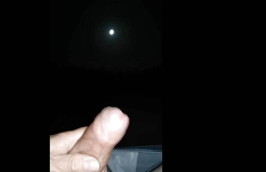 I didn't worship the moon, I jerked it off