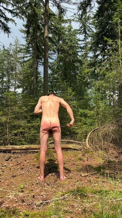 Self caning in the forest
