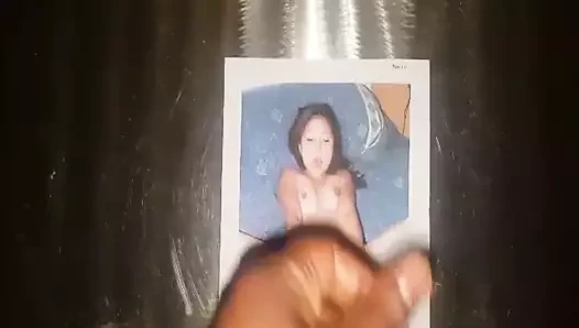 Haole671 haraç
