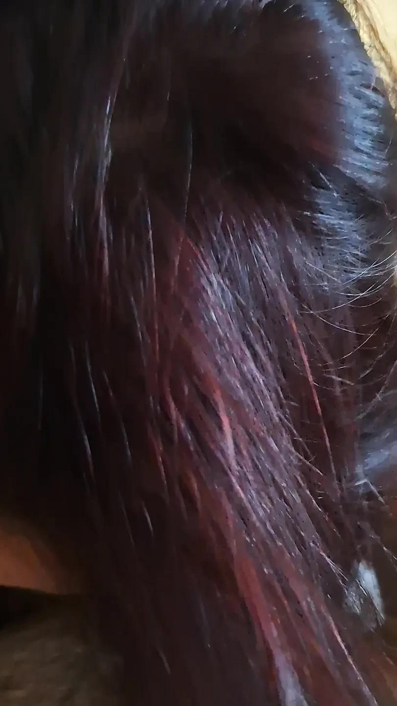 She  looks at me straight in the eyes while sucking my big cock balls deep in a POV close-up