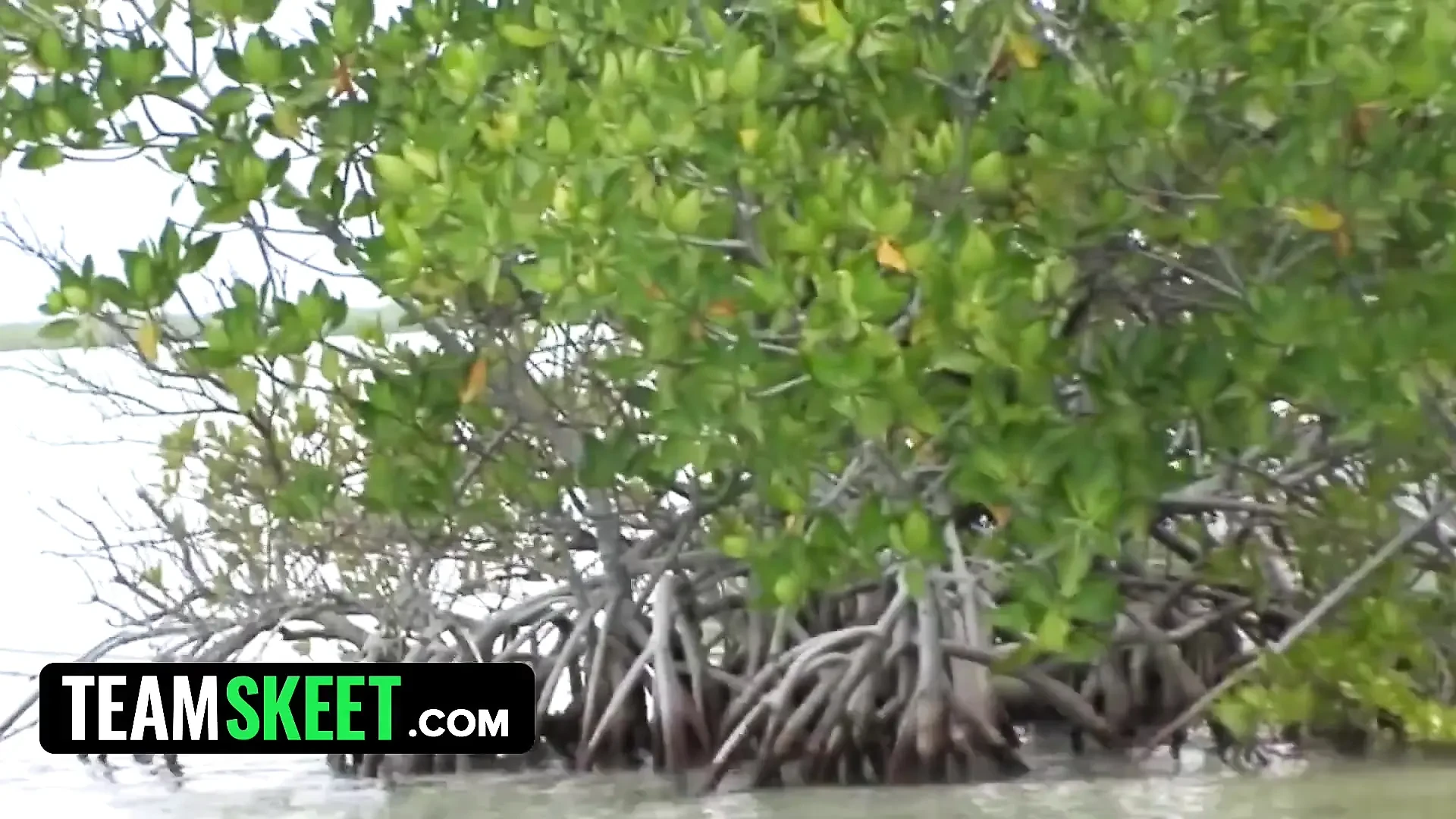 This Girl Sucks – Horny teen sucks cock outdoor and gets massive cum in her face