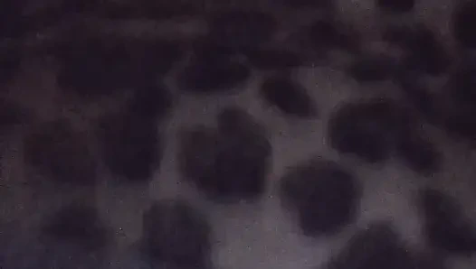 Yeni oyuncaklarımla eğleniyorum