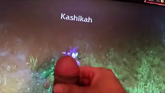Domuzcuk kashinah için haraç