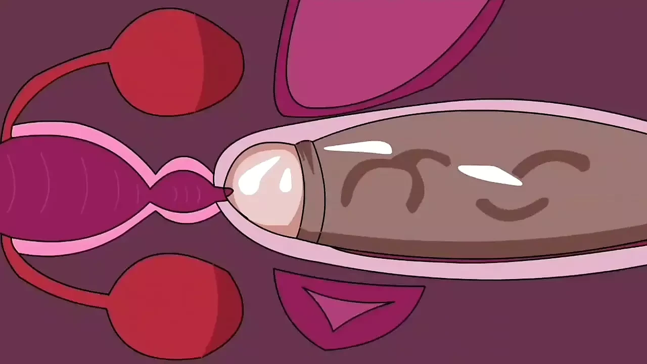 Interne ejakulation # 2 (Animation)