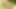Tight Wettest Shaved Pussy Hard Masturbation Vol 2