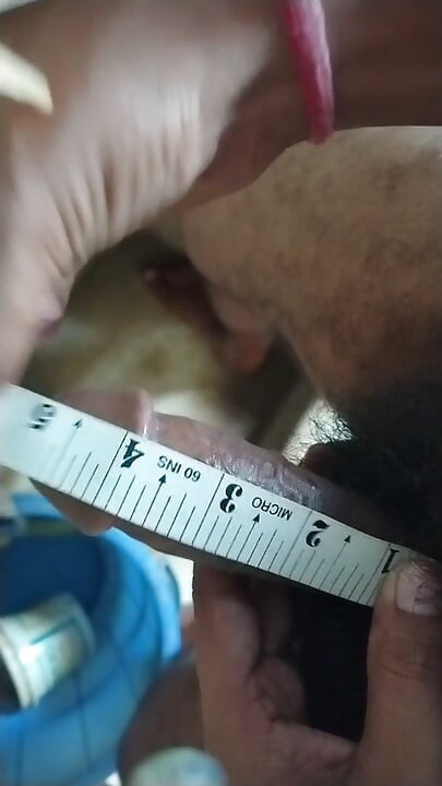 Ukuran penis ku terungkap