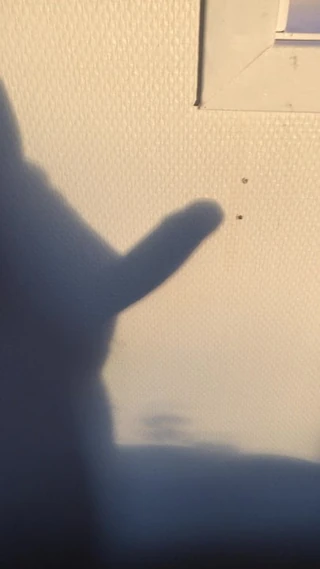 Shadow on the wall