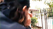 Video pregled