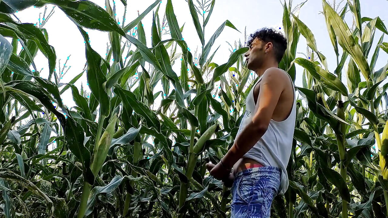 Summer Jerk off in Corn Field - Twitching Cumming Cock